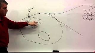 Membrane Potentials for beginners [upl. by Aicire]