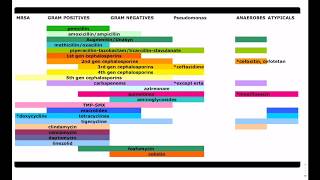 Antibiotic Coverage Made Easy  USMLE  COMLEX [upl. by Zilla]