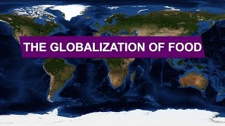 The Globalization of Food • Explained With Maps [upl. by Downall501]