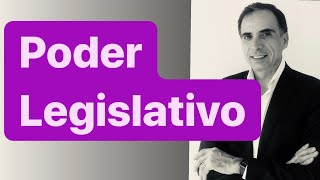 PODER LEGISLATIVO Esquema general Derecho Constitucional Argentino [upl. by Coco]