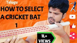 ALL DETAILS ON CRICKET BAT SELECTION   Part 1  తెలుగు  Ravi Krishna Cricket [upl. by Catt]