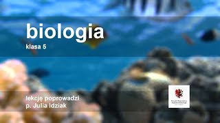 Klasa 5  Biologia   szkoła [upl. by Ymar]