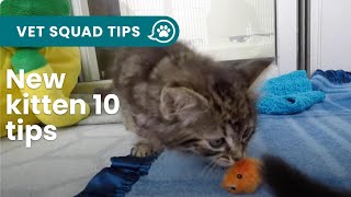 New kitten 10 things you NEED to know  PET CIRCLE [upl. by Lenahs]