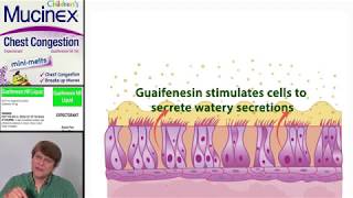 Expectorants Guaifenesin [upl. by Ailana979]