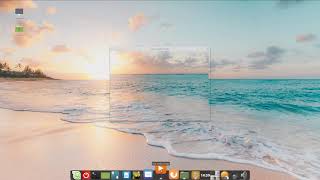 Cairo Dock on Linux Mint [upl. by Analli]