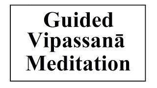 Vipassanā Meditation Guided Meditation for Beginners Meditate daily [upl. by Ennair]