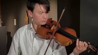 Beautiful Stradivarius Violin Music [upl. by Alegre281]