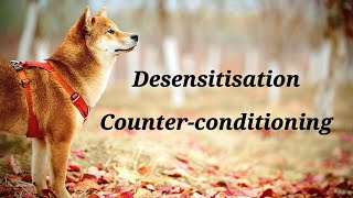 DESENSITISATION and COUNTERCONDITIONING in Dog Training [upl. by Harac]