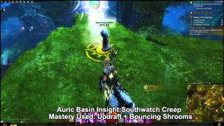 GW2 Auric Basin Mastery Insights Guide [upl. by Enaasiali]