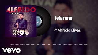 Alfredo Olivas  Telaraña Audio [upl. by Alamaj]