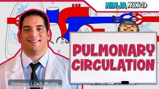 Circulatory System  Pulmonary Circulation [upl. by Etnecniv200]