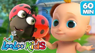 Skip to My Lou  S2EP84 Musical Adventure Collection  LooLoo Kids Songs for Kids [upl. by Kimbra]