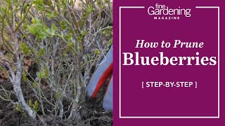 How to Prune Blueberries [upl. by Roid]