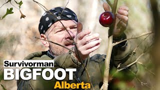 Survivorman Bigfoot  Episode 1  Alberta  Les Stroud  Todd Standing [upl. by Ching]