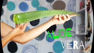 Mascarilla de aloe vera [upl. by Yalc]