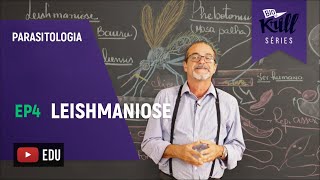 Leishmaniose Parasitologia  EP 4  Biokrill Series [upl. by Branden]