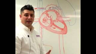 Neonatal Circulation Part 13 Preductal Sp02 [upl. by Nash150]