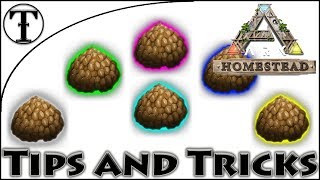 Fast Kibble Rework Guide  Ark  Survival Evolved Tips and Tricks [upl. by Artie]