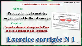 Exercice corrigée N1Mécanismes d’absorption de l’eau et des sels minéraux par les plantes [upl. by Anaes44]