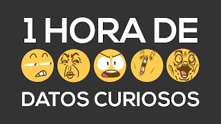 1 HORA DE DATOS CURIOSOS XPRESSTV [upl. by Germano441]