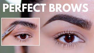 HOW TO GROOM SHAPE amp MAINTAIN EYEBROWS AT HOME BEGINNER FRIENDLY [upl. by Aticilef540]