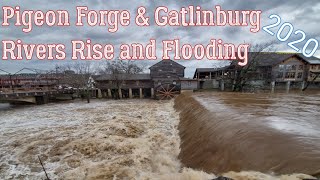 Flooding Pigeon Forge and Gatlinburg Tennessee 2020 [upl. by Jerz332]