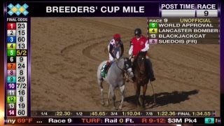 LIVE The Breeders Cup World Championships Saturday [upl. by Kramlich]