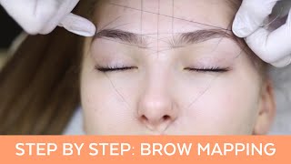 Brow Mapping Step By Step Training [upl. by Letney19]