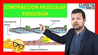 CONTRACCIÓN MUSCULAR FISIOLOGÍA GUYTON explicada FACIL ✅ [upl. by Asital346]