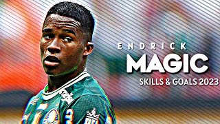 Endrick • Palmeiras • New Skills amp Goals 2023 [upl. by Riada769]