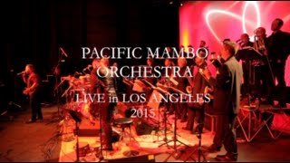 Overjoyed  LIVE Salsa Verison by Pacific Mambo Orchestra  Directors Cut [upl. by Thaddus305]