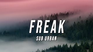 Sub Urban  Freak TikTok Remix Lyrics [upl. by Carole767]