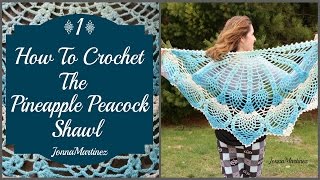 How to Crochet the Pineapple Peacock Shawl PART 1 [upl. by Nicolea]