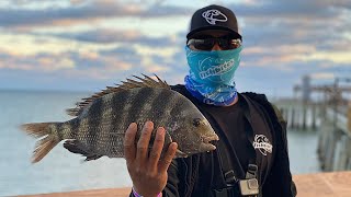 How to EASILY Catch Sheepshead on a Fishing Pier [upl. by Rakabuba]