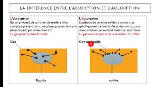 Adsorption Absorption [upl. by Ledniahs771]