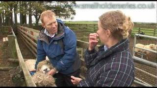 Sheep Drenching worming with Adam Henson [upl. by Ytitsahc]