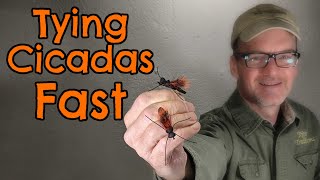 Tying the Cicada Fly Pattern [upl. by Hsoj299]