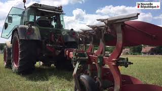 VIDÃ‰O Comice agricole  le concours de labours comment Ã§a marche [upl. by Wendalyn]