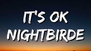 Nightbirde – It’s Okay Lyrics [upl. by Amberly]