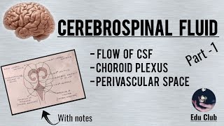 Cerebrospinal Fluid  Part 1 [upl. by Yclek]