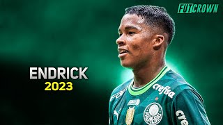 Endrick 2023 ● Palmeiras ► Magic Skills amp Goals  HD [upl. by Possing332]