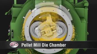 How does a pellet mill work [upl. by Uaerraj]