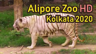 Alipore Zoo Kolkata 2020 FULL HD [upl. by Fujio]