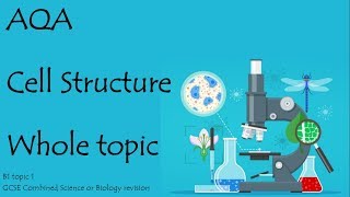 The whole of CELL STRUCTURE AQA Biology or combined science 91 revision for paper 1 [upl. by Fagen]