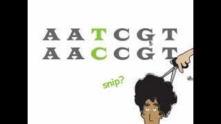 Genetics 101 Part 2 of 5 What are SNPs [upl. by Huntlee]