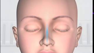 Spiritual Reality of Meditation  Absorption of Cosmic Energy  Detailed Explanation  ENGLISH [upl. by Qahsi]