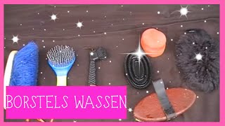 Borstels wassen  PaardenpraatTV [upl. by Winne]