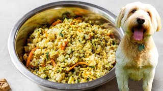 HOMEMADE DOG FOOD  healthy dog food recipe [upl. by Naesar]