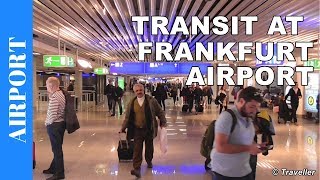 TRANSIT WALK AT FRANKFURT Airport FRA Terminal 1  Connection Flight Transfer Arriving amp Departing [upl. by Shimkus]