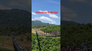 Gatlinburg SkyBridge [upl. by Anirhtak]